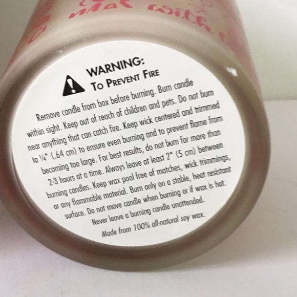 Michel Design Works Joy To The World Soy Candle - Picture 5 of 12